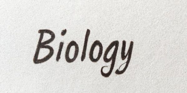 pierwsza strona zeszytu do biologii